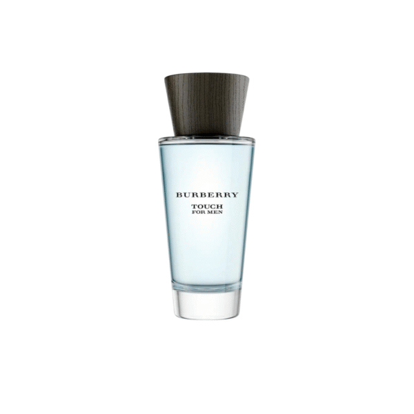 Burberry, Touch for Men, Apă de toaletă, Bărbați, 100 ml