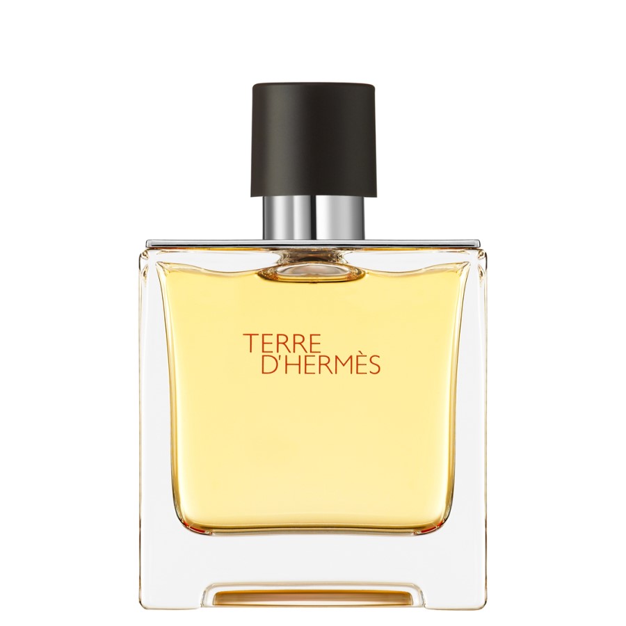 Hermès, Terre d'Hermès, Parfum, Bărbați, 75 ml