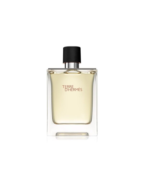 Hermès, Terre d'Hermès, Apă de toaletă, Bărbați, 100 ml