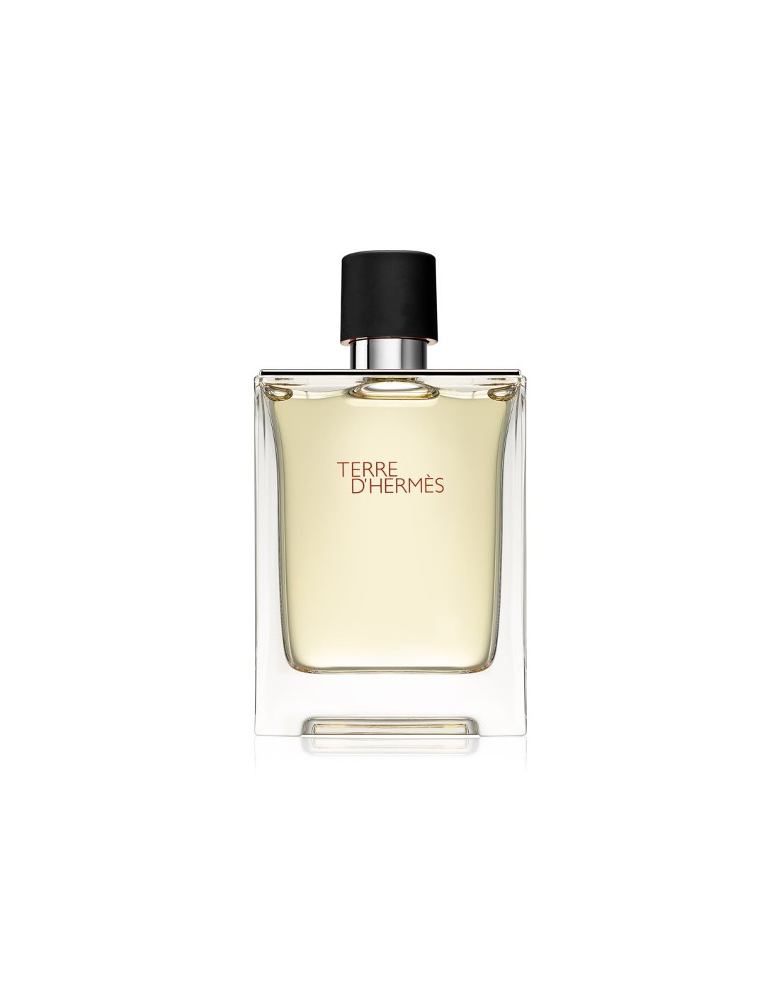 Hermès, Terre d'Hermès, Apă de toaletă, Bărbați, 100 ml